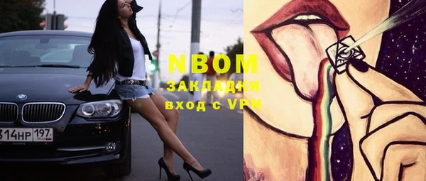 стаф Козловка