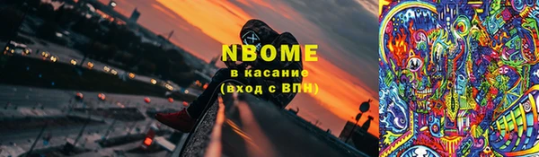 стаф Козловка