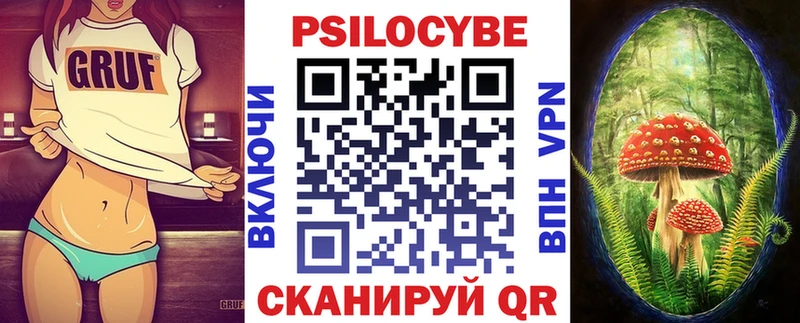 KRAKEN зеркало  цена наркотик  Ковдор  Галлюциногенные грибы Psilocybine cubensis 